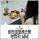 비안코 포레스트 이미지