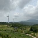 오늘의 경주 이미지