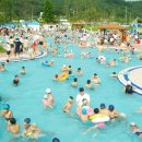 신정호야외수영장 이미지