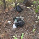 금수강산환경 이미지