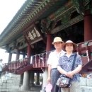 군산(목포) 이미지