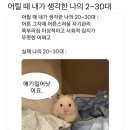 찍찍찍, 그래도 시골쥐는 행복합니다 _!(15)