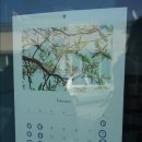 거북목욕탕 이미지