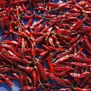 진두루농장 이미지