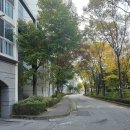 일신초등학교 건너편 래미안아파트 앞 | 월곡역 좋은 학군과 6호선 역세권 평지의 대단지 아파트 종암1차 SK뷰 아파트 리뷰