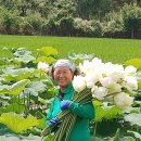 평화농원 이미지