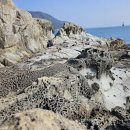 투어지오 이미지