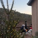 온리앳오운리 이미지