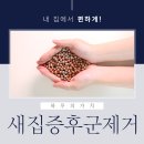 한국생산기술연구원이조케터링 | 집곰팡이냄새, 어떻게 해야해야 할까요?