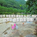 우드캐슬 | 여름 휴가 여행지 추천! 강원도 영월 여행 무릉도원 법흥계곡 물놀이 &amp; 펜션 우드캐슬