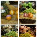 강남-033 이미지