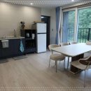 인제내린천 자작나무숲 겨울이네펜션 이미지