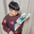 살롱알제