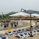 김해롯데워터파크 Daum카페