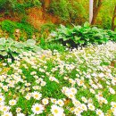 큰골작은도서관 이미지