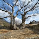 군산건축인테리어