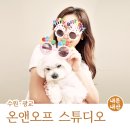 [수원/광교] 셀프스튜디오 &#39;온앤오프&#39; N번 찍은 내돈내산 후기 (애견동반 가능)