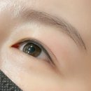 쏠로아떼 | 신곡동속눈썹 펌 추천 : 아떼브로우