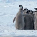 우정동물병원 이미지