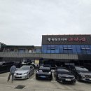 대박황칠코리아 이미지