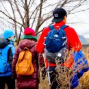 제주 올레길 15코스 A 이미지