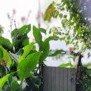 농막목장 이미지