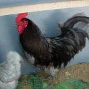 절골농장 이미지