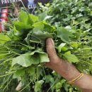 세븐일레븐 남부점 이미지