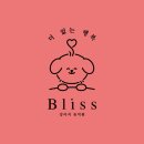 Bliss 강아지 유치원 이미지