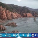 조항조-후 가사자막15개국. 배경-무의도 하나개 해수욕장. soft rock ballads 70s 80s 90s. 이미지