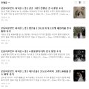 모먼트전자 | [아이폰스냅] 인유어모먼트 계약 후기 (양재 aT포레)