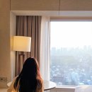파르나스호텔신용협동조합 코엑스호텔점 | 서울 호캉스 추천 코엑스 강남 호텔 웨스틴 서울 파르나스