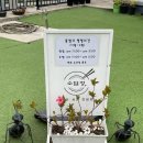 소담정 | 고성 아야진 맛집 소담정 명태회냉면 육전 후기