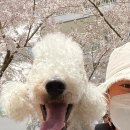 아리랑아파트 놀이터 이미지