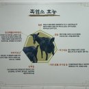 이산흑염소 이미지