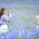 웃음꽃목장 이미지