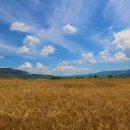 독립자동차정비공장 이미지