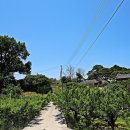 함계정사 이미지