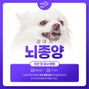 서울동물영상종양센터 이미지