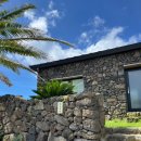 히든자왈 이미지