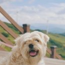 KT 개방화장실 이미지