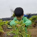 박달농원 이미지