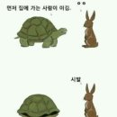 토끼와거북이 이미지