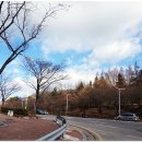 돌배기집광주 이미지