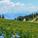 하이디알프스 이미지