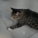 삼성미도(아) 경로당 | 일상기록: 25년 10월 2부