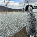 힐링이 되는 비내섬 이미지