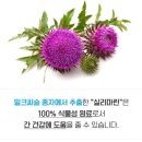 (주)폴리슈티컬스 | 다이어트 보조제 《오늘부터 웰컷 포 맨》 체지방 감소, 가르시니아 함유 복부비만