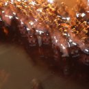 용산-현장-2 이미지