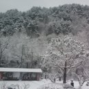 백담소나무계곡펜션